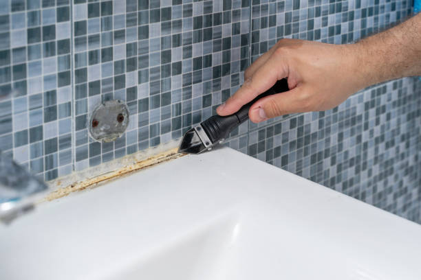 Reliable Middletown, IN Mold Remediation Solutions